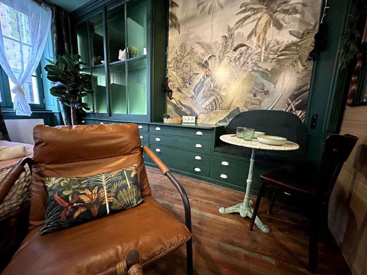 Appartement Le Jungle-room, Sauna, Hyper-centre *